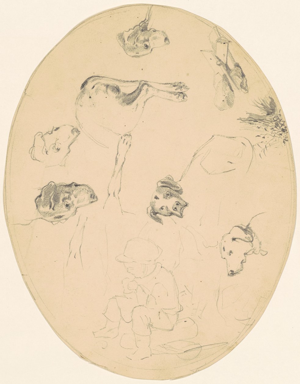 Studies of Dogs and a Seated Boy by James Goodwyn Clonney