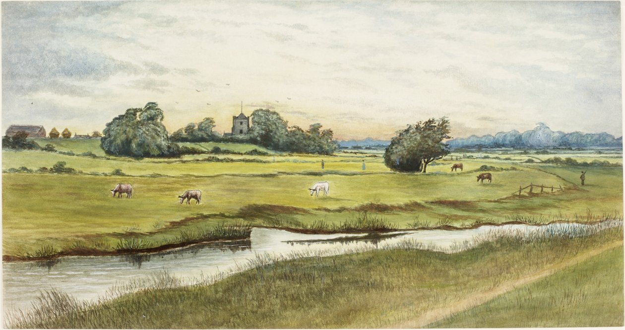 Ryton Meadows by James Henry Cleet