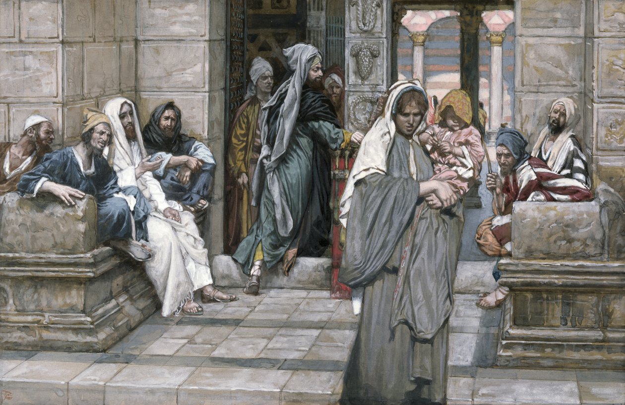 The Widow
