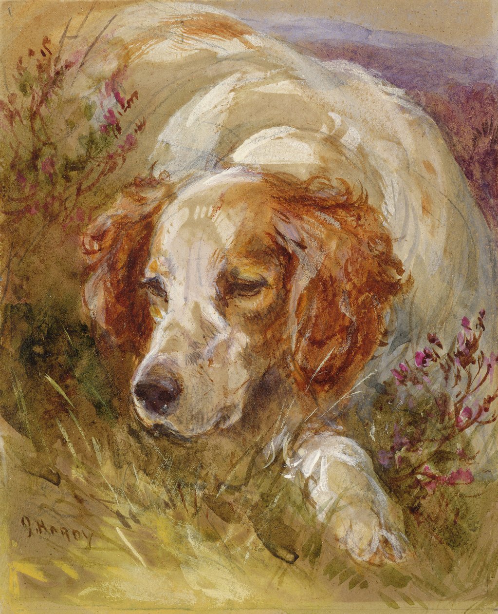 A Spaniel by James Jnr Hardy
