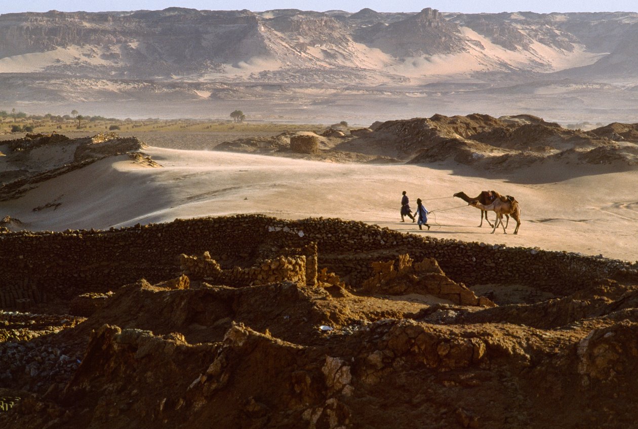 Camel with salt caravan members cross a desert plateau at Bilma, Niger by James L Stanfield