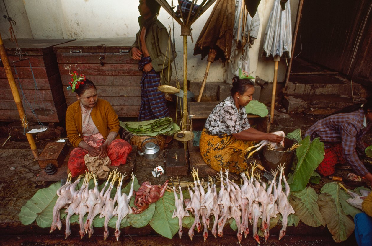 Food Vendors with Faces Decorated with Thanaka, Powdered Tree Bark, Taunggyi, Burma by James L Stanfield