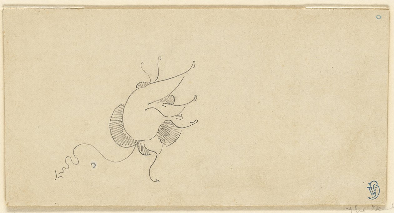 Butterfly by James Abbott McNeill Whistler