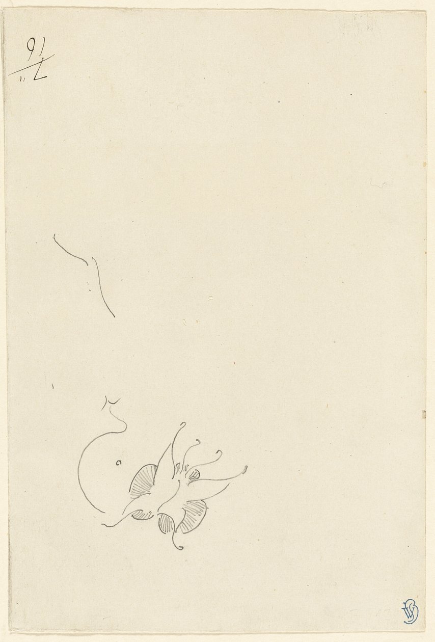 Butterfly by James Abbott McNeill Whistler