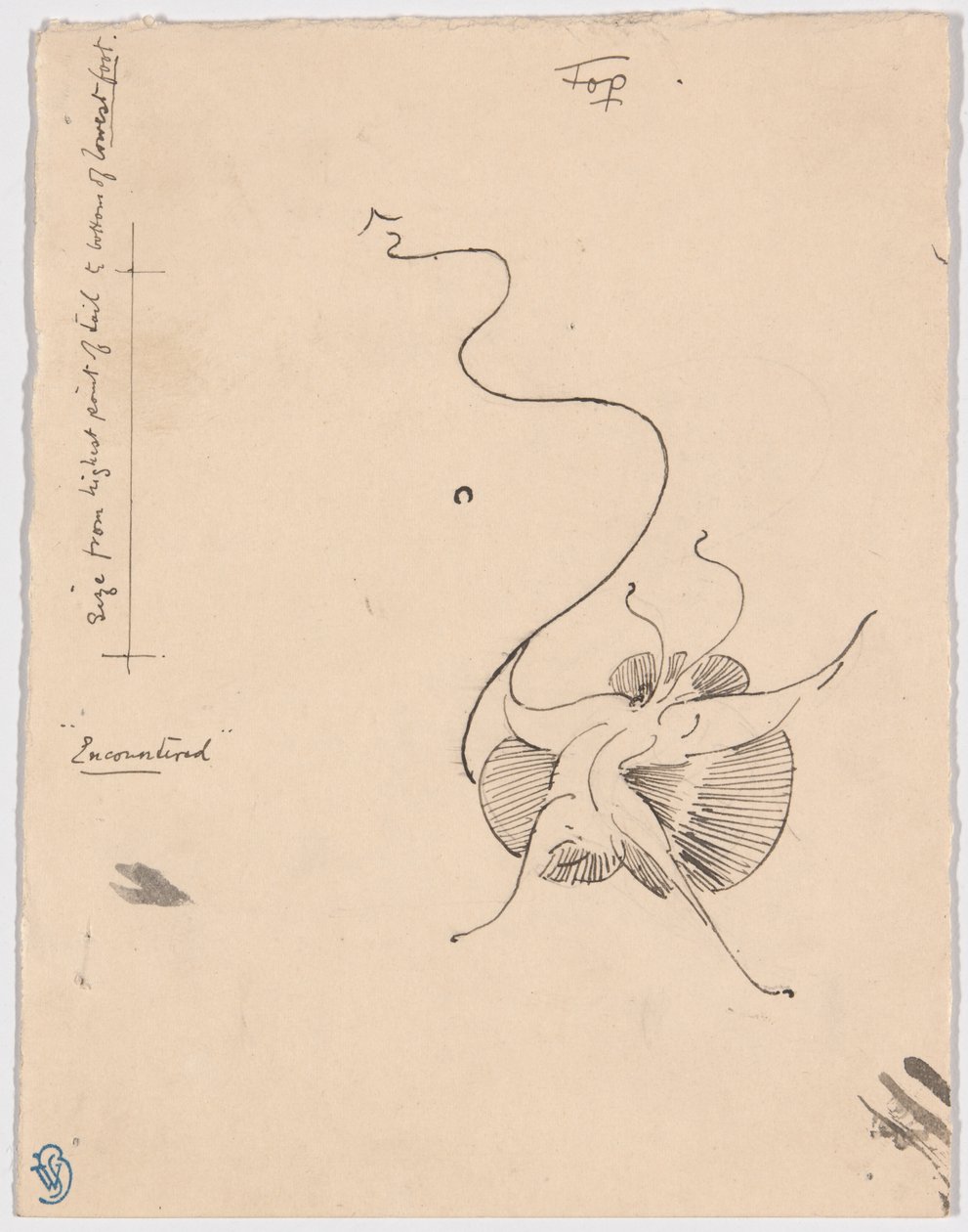 Butterfly "Encountered" (recto); Sketch for Tailpiece (verso) by James McNeill Whistler