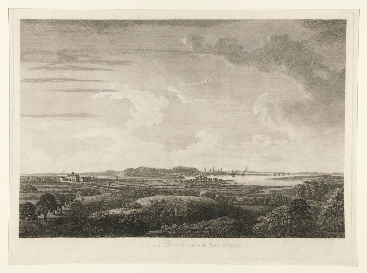 A View of Boston taken on the road to Dorchester by James Newton