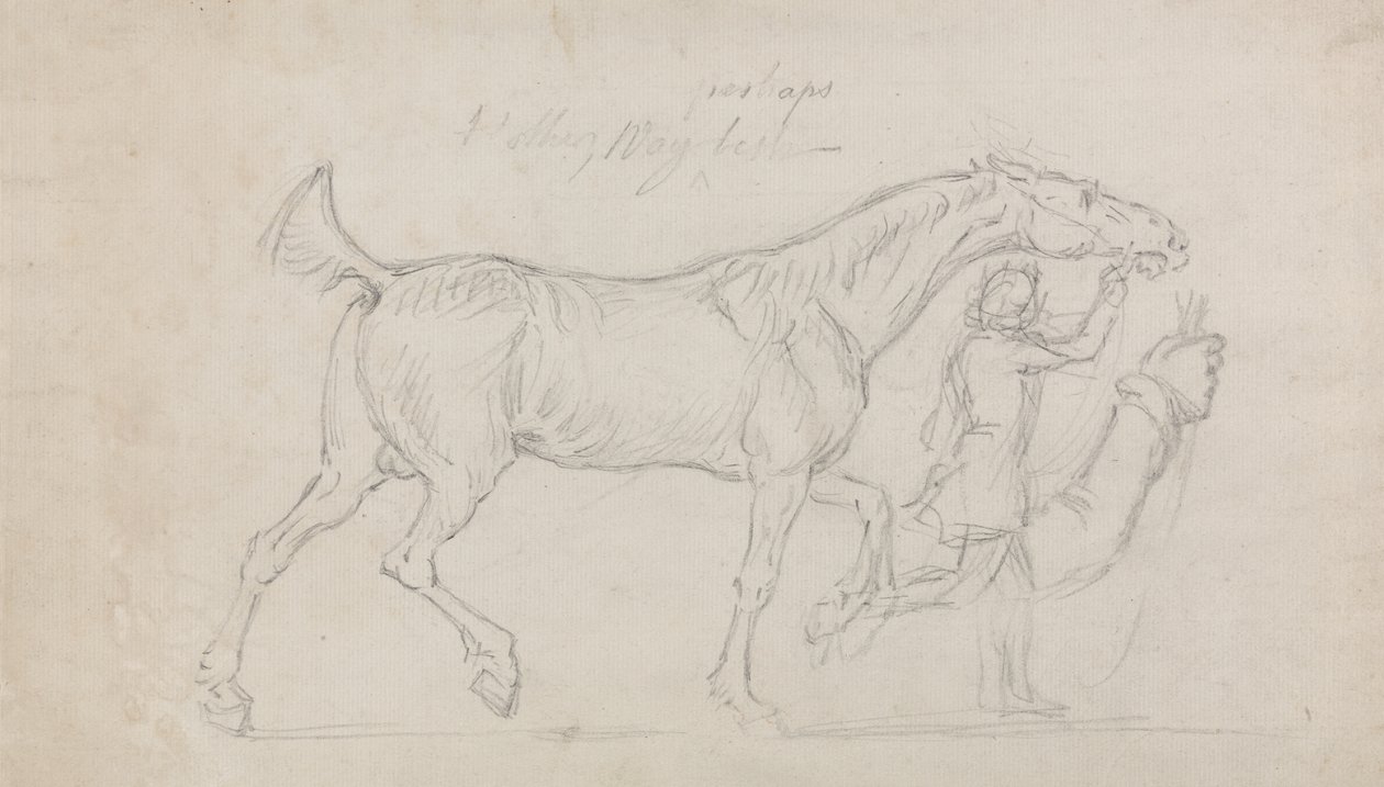 Man Leading a Trotting Stallion to Right by James Seymour