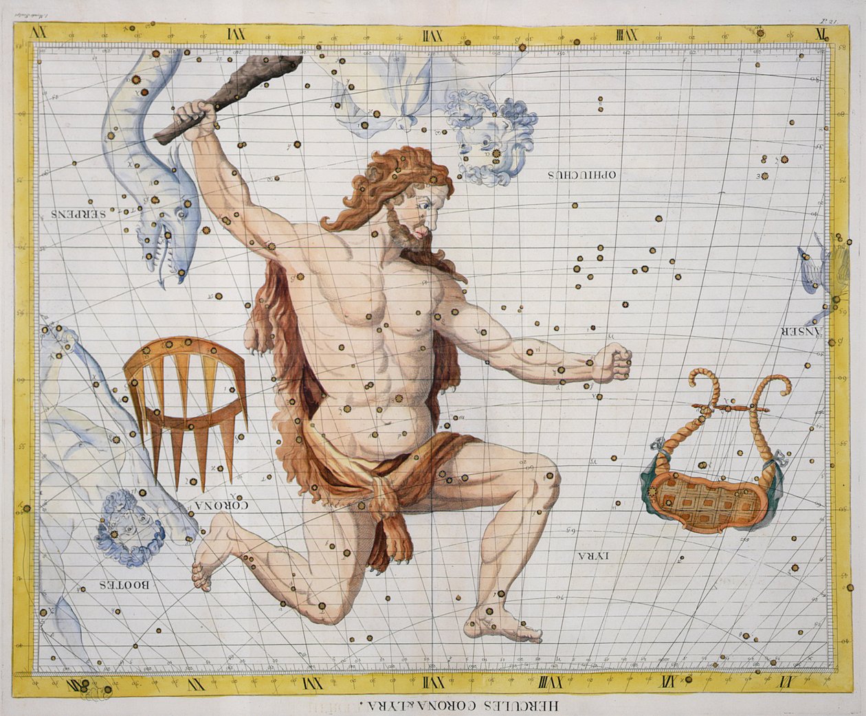 Constellation of Hercules with Corona and Lyra, plate 21 from 