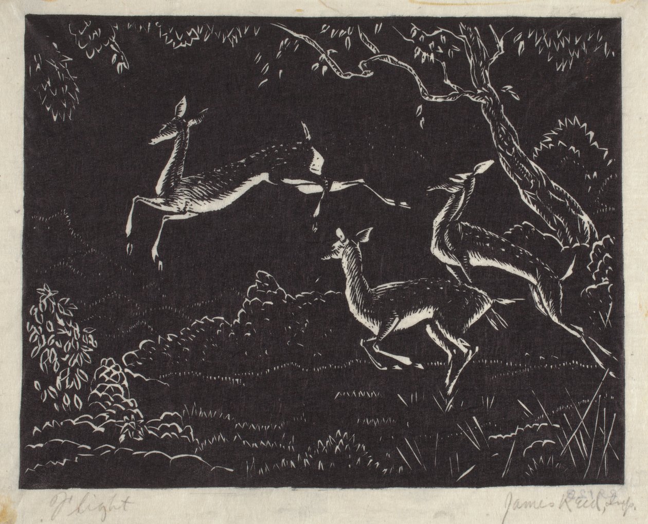 Flight by James W. Reid