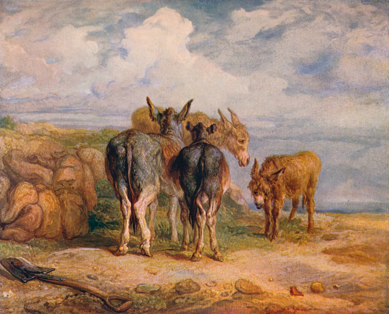 Donkeys by James Ward