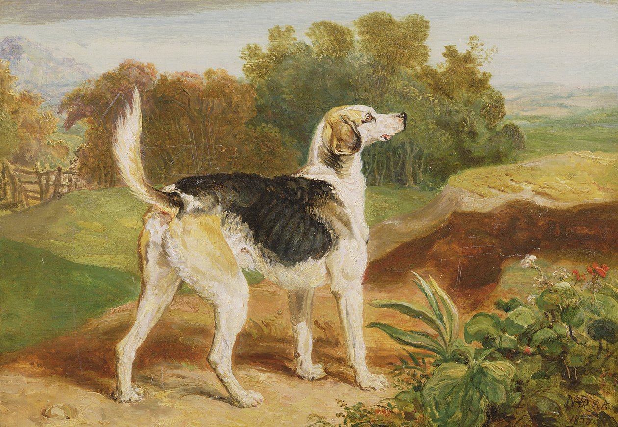Ravager, One of the Lambton Hounds by James Ward