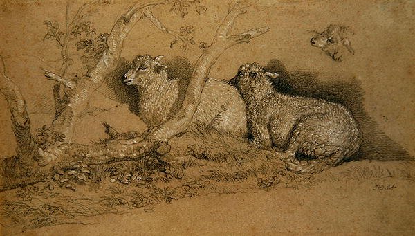 Sheep Resting in a Wooded Copse and a Study of the Head of a Sheep by James Ward