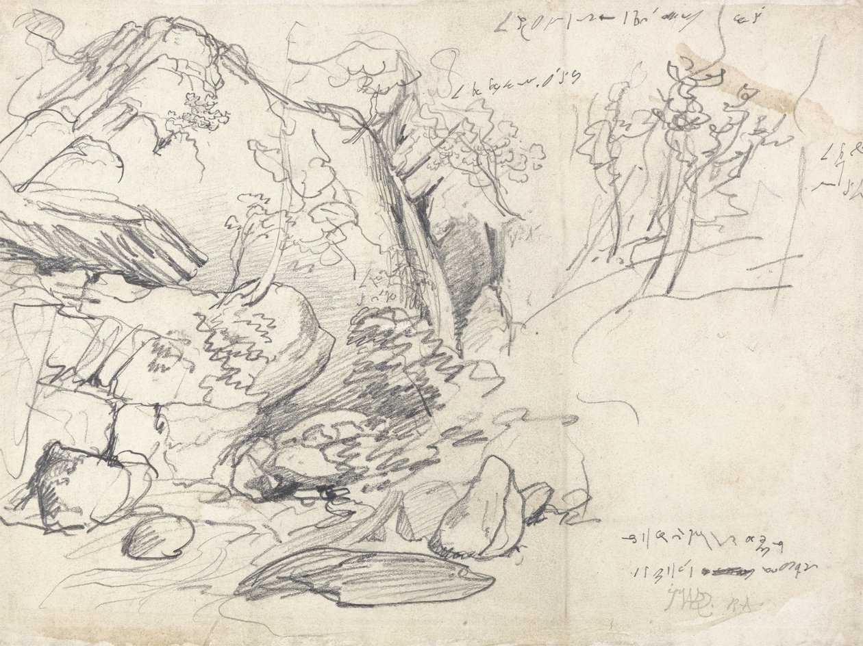 Study of a Mountain with Trees by James Ward