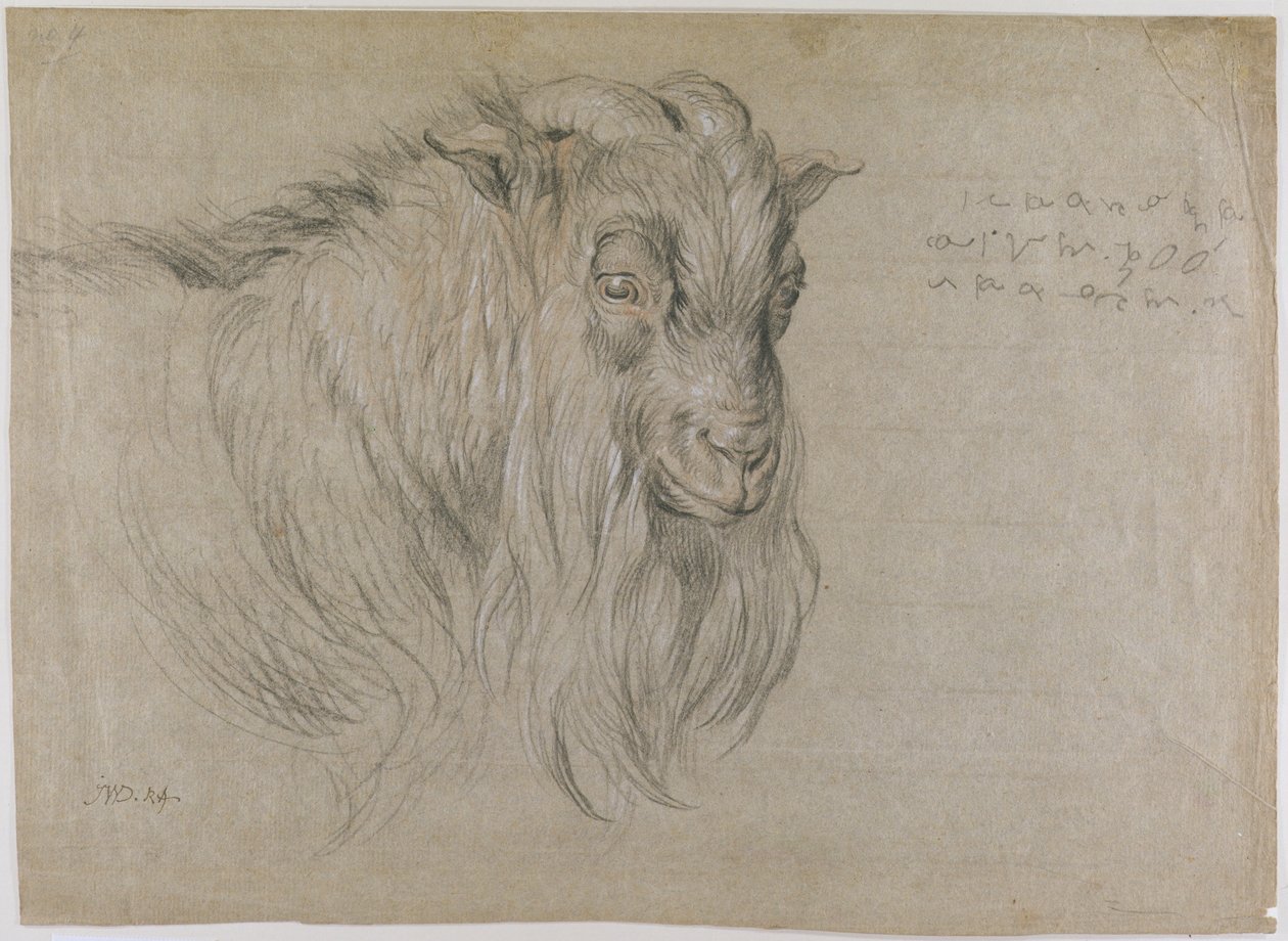 Study of the Head of a Ram by James Ward