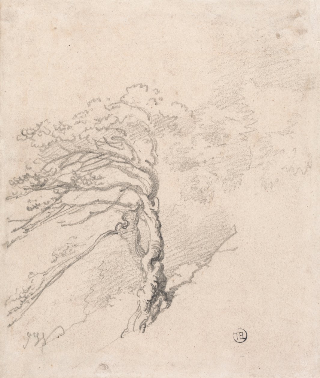 Tree on a Hillside by James Ward