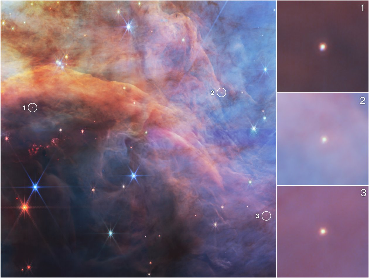 Low Mass Objects within the Flame Nebula (NIRCam Image) by James Webb Space Telescope (NASA)