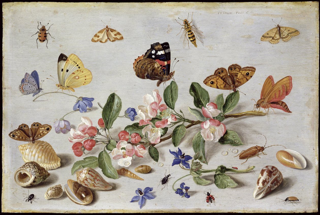 Insects by Jan van Kessel the Elder
