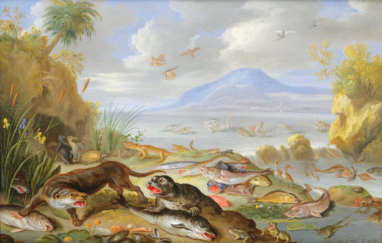 The Element of Water by Jan van Kessel the Elder