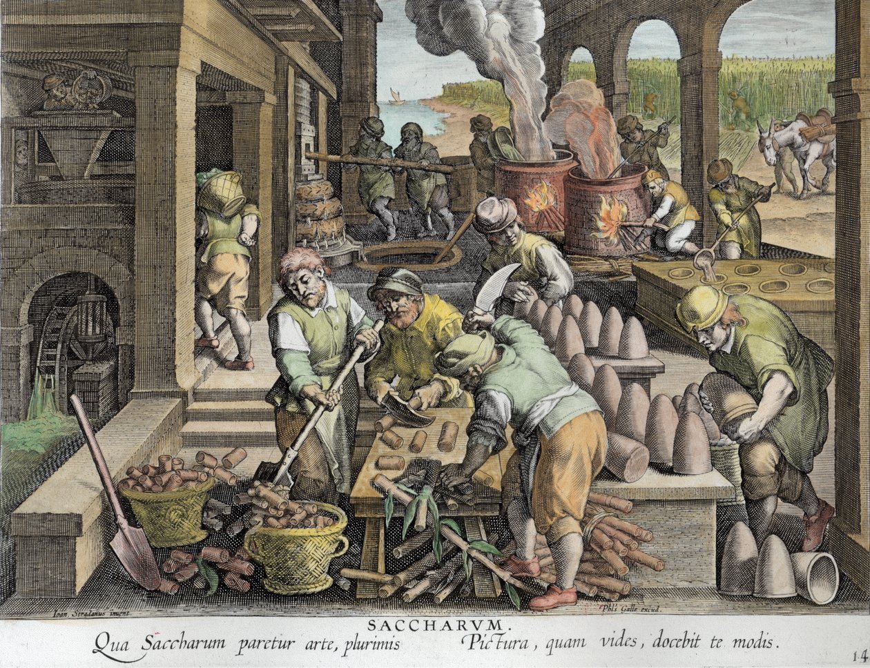 A Sugar Mill and the Production of Sugar Loaves, plate 14 from 