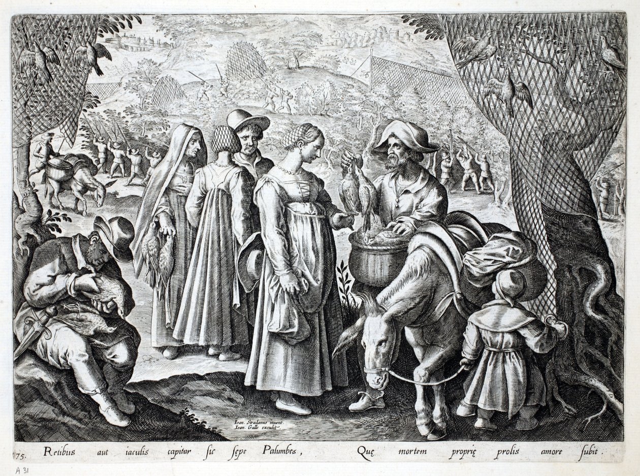 Birdcatchers selling Wood Pigeon, illustration from 
