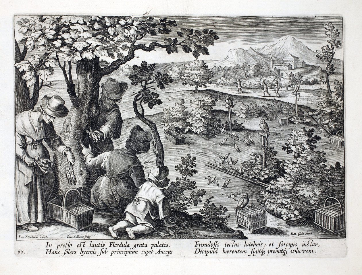 Birdcatchers using Owls and disguise to catch Figpeckers, illustration from 