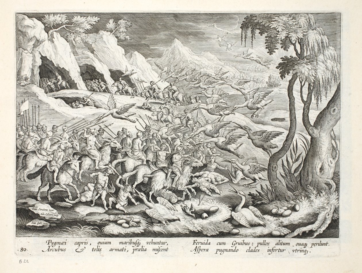 Pygmies on Goats Hunting Crane, Illustration from 