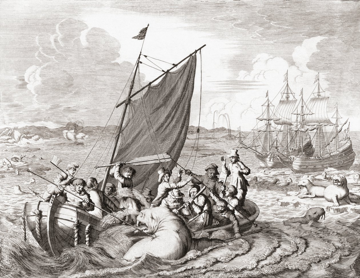 Walrus hunters in the 16th century (engraving) by Jan (after) Luyken
