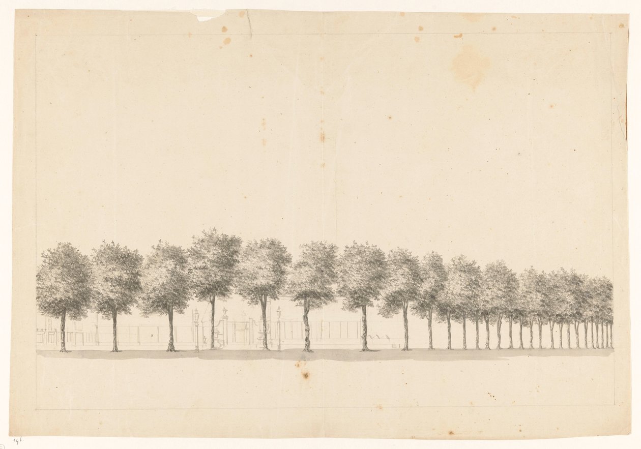 Tree Avenue in Batavia by Jan Brandes