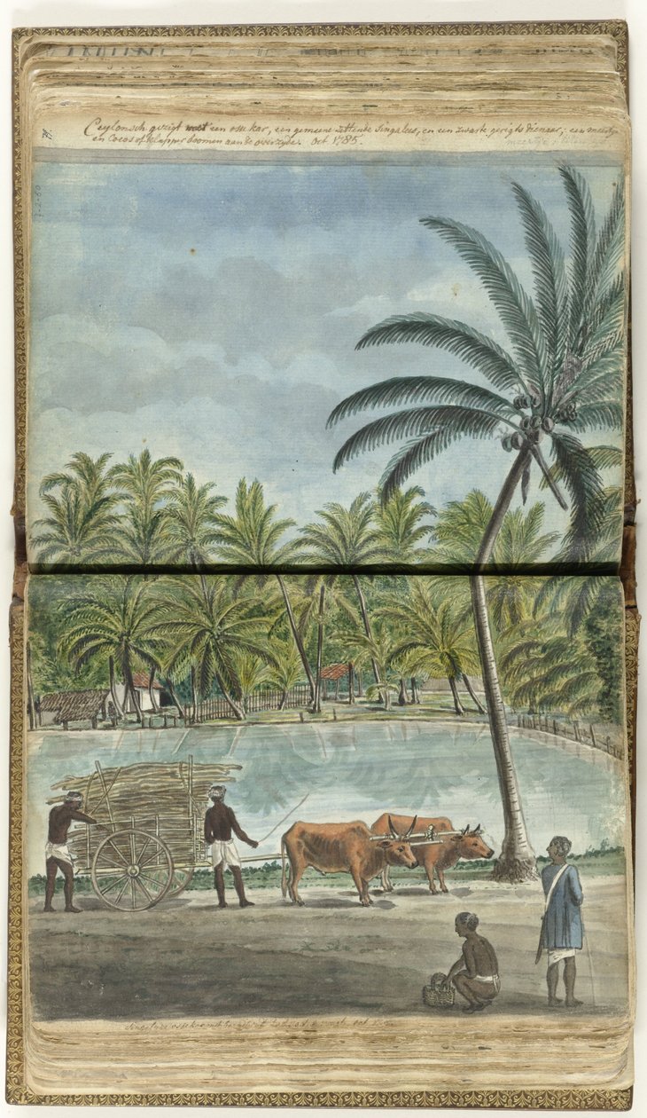 Ceylon View with an Ox Cart, a Squatting Sinhalese, and a Black Bailiff by Jan Brandes