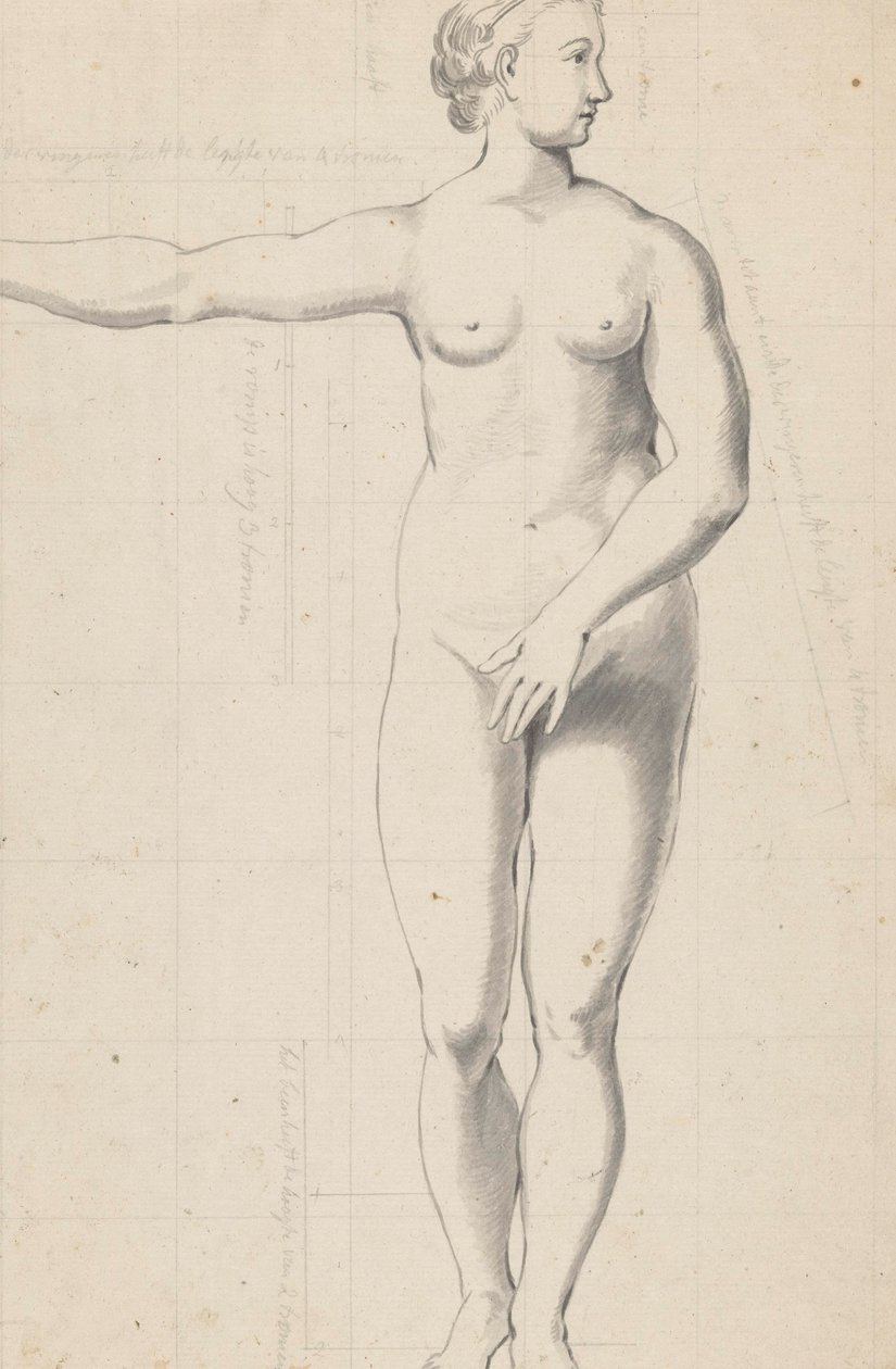 Nude Studies of Woman and Man by Jan Brandes