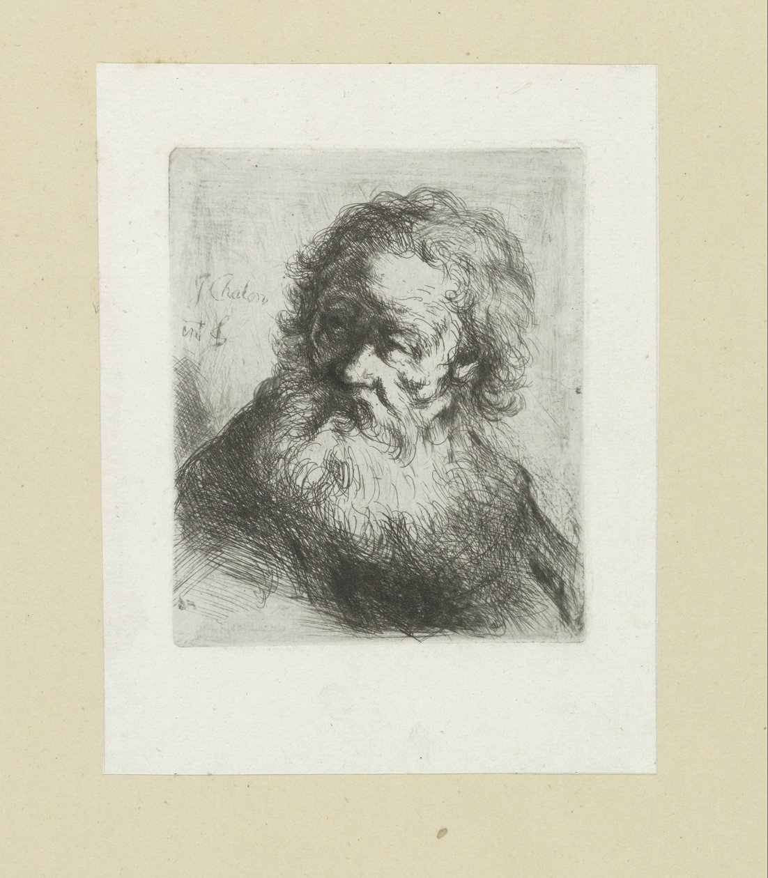 Old Man with Beard by Jan Chalon