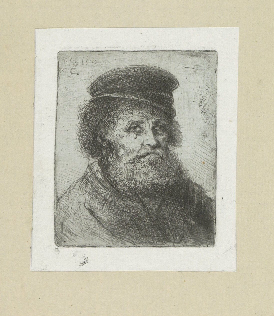 Old Man with Beard and Cap by Jan Chalon