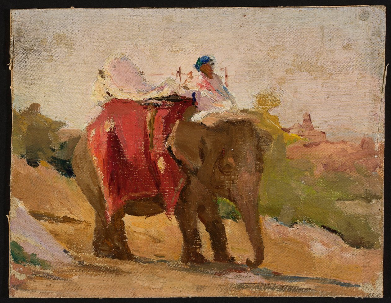 Chitorgarh - My Elephant. From a Journey to India by Jan Ciągliński