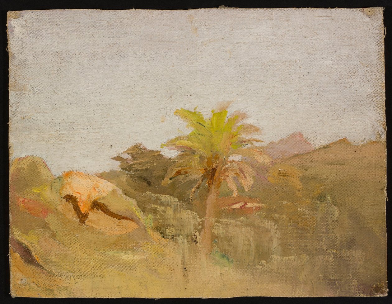 Palm in Ceylon. From a Journey to India by Jan Ciągliński