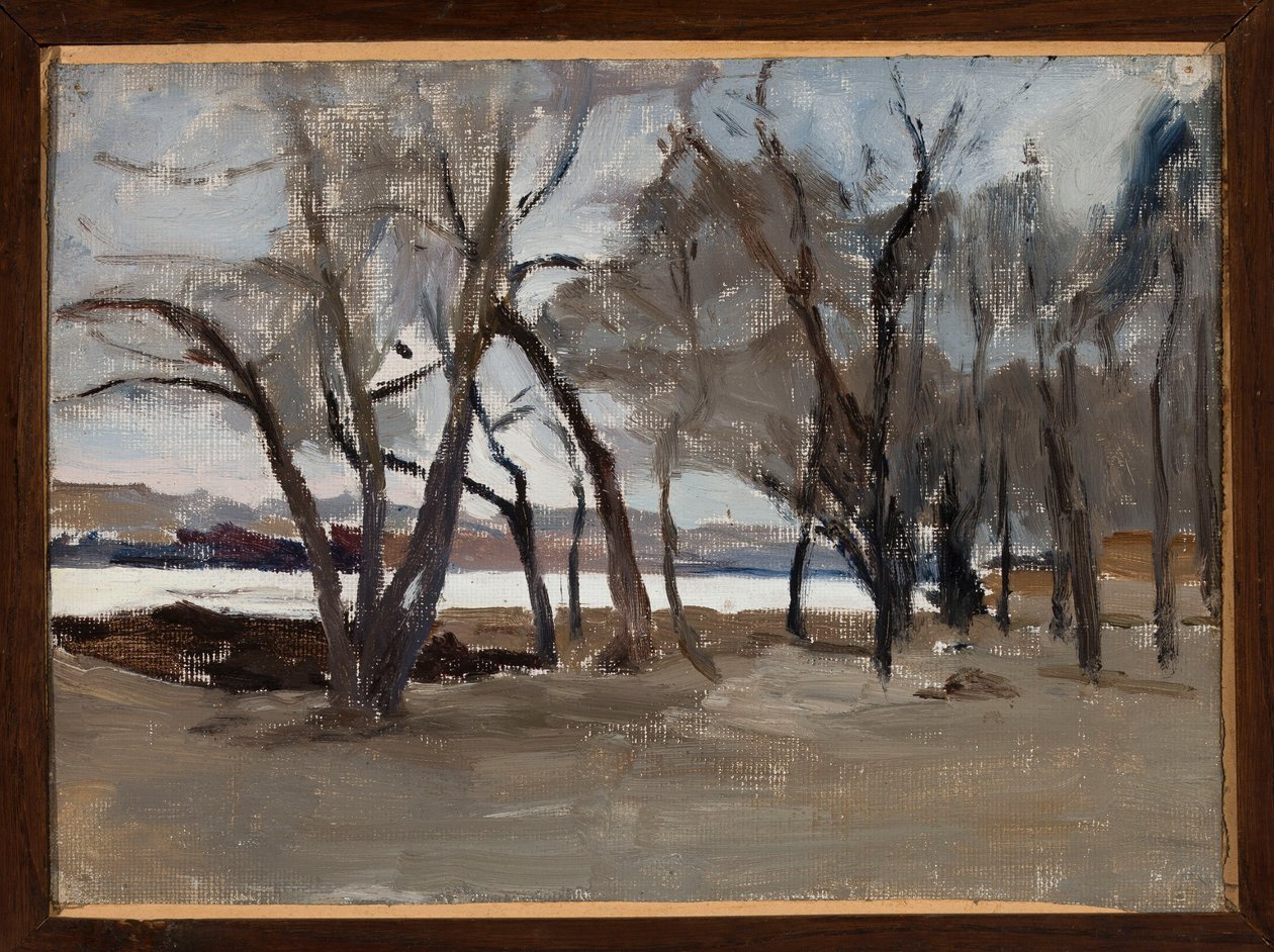 Winter Landscape - Park on Peter