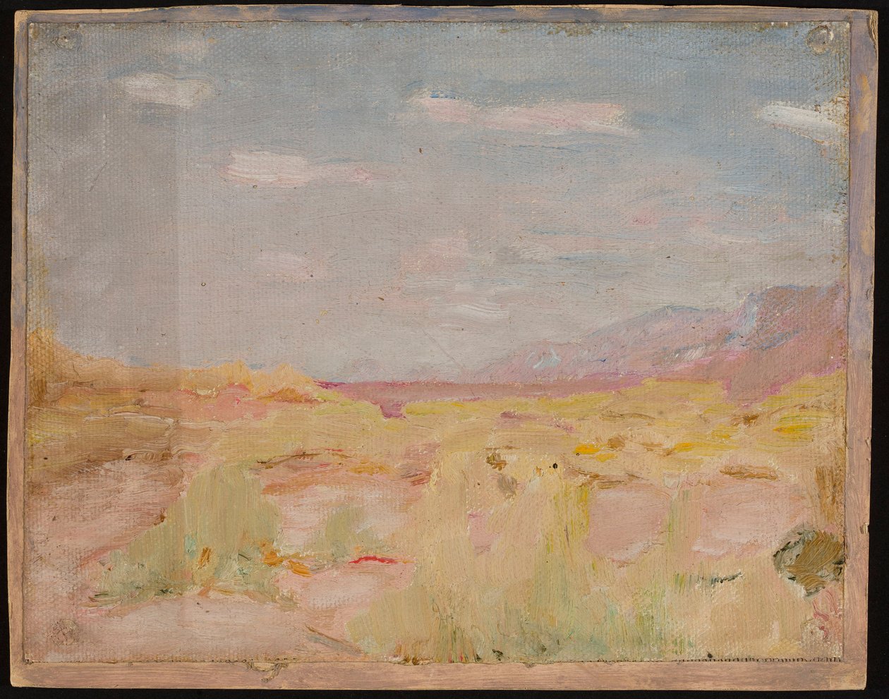 Steppe (Near Transcaspian). From a Journey to Turkestan by Jan Ciągliński