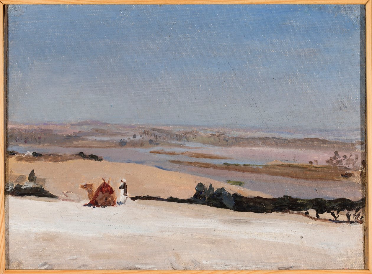 View from the Pyramid. From a Journey to Egypt by Jan Ciągliński