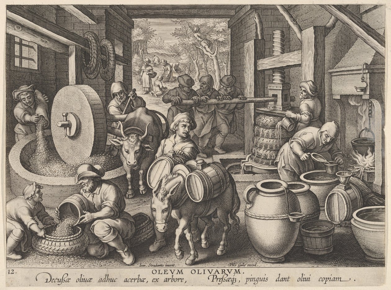 New Inventions of Modern Times, The Invention of the Olive Oil Press by Jan Collaert I