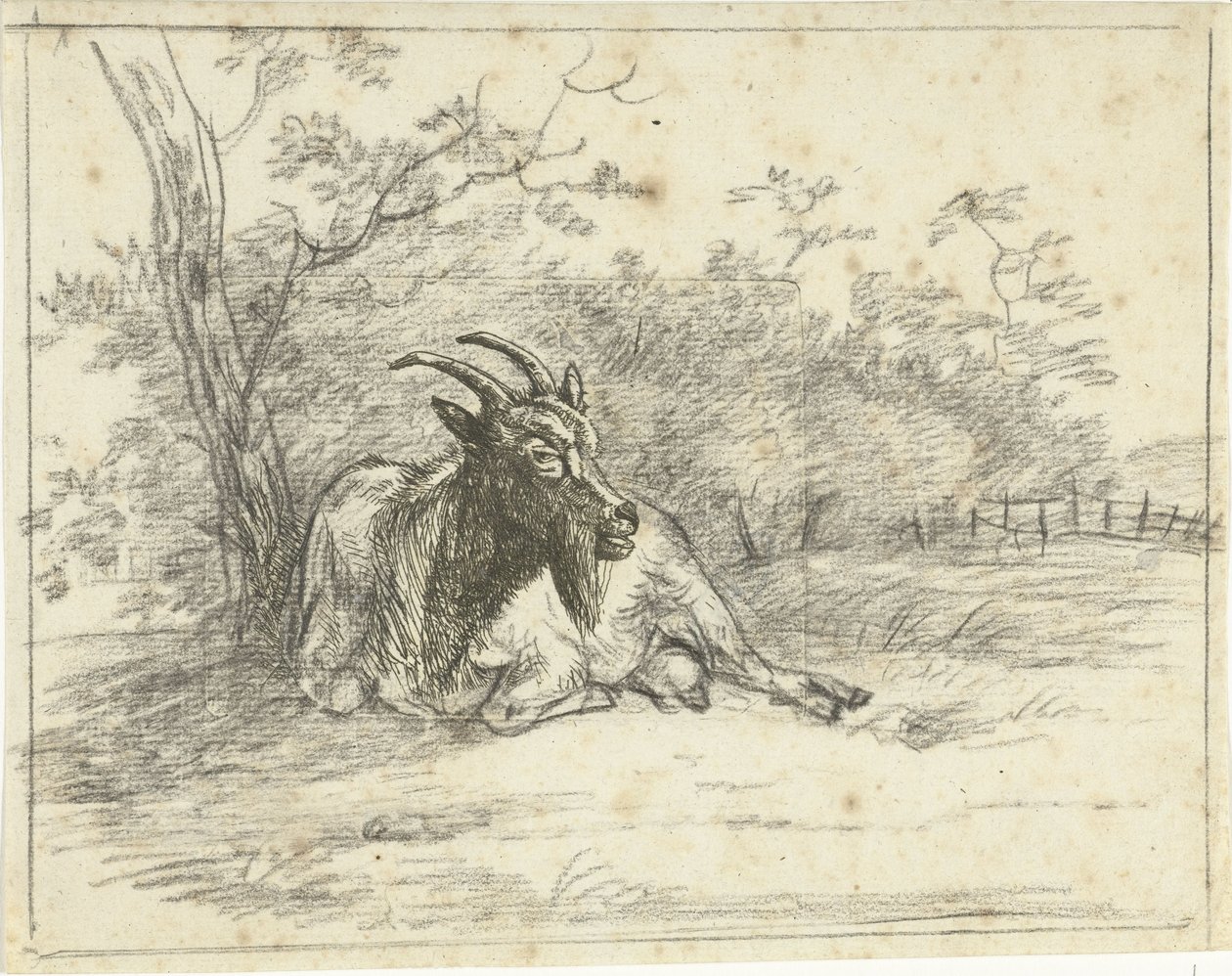 Lying Goat by Jan Dasveldt