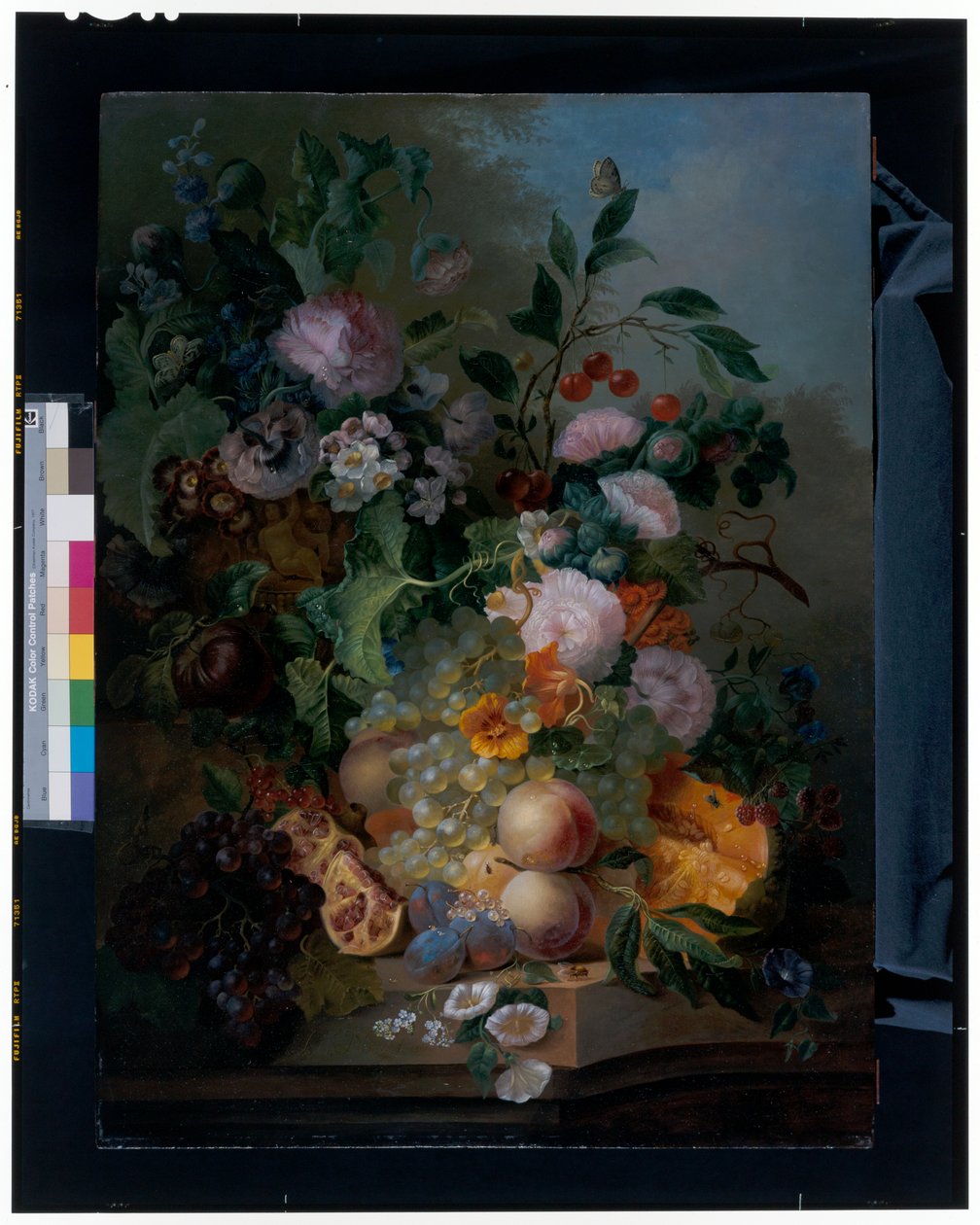 Still Life with Flowers, Pears, Grapes, Cherries, a Melon and Butterflies by Jan Evert Morel