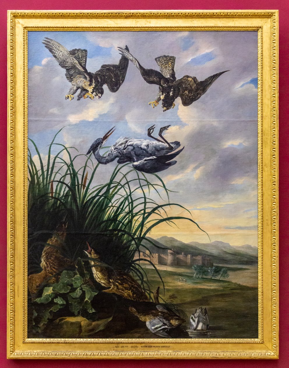 Heron Pursued by Falcons by Jan Fyt