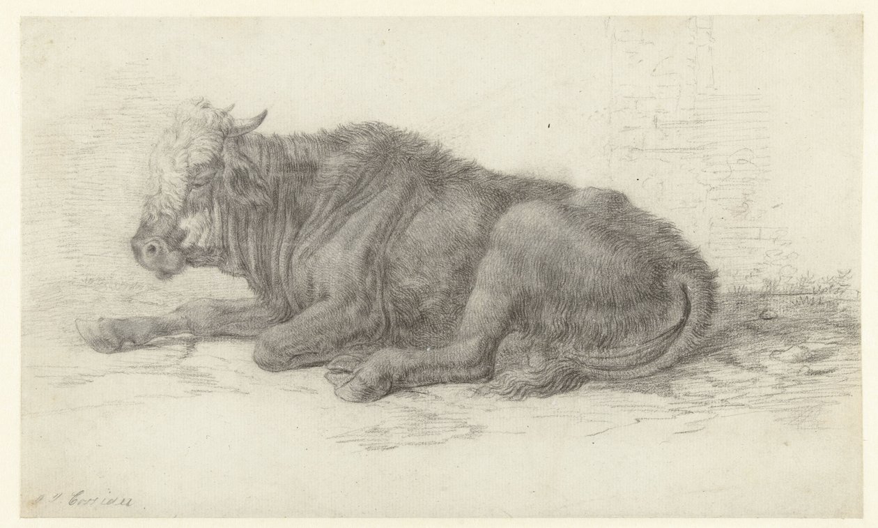 Lying Cow by Jan Joost van Cossiau