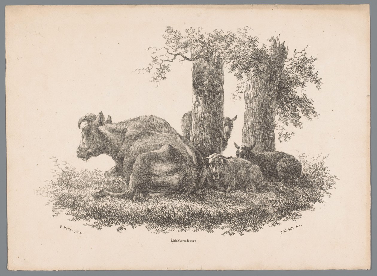 A Cow and Three Sheep (Animal Studies by J. Kobell after Paul Potter No. 1 series) by Jan Kobell (III)