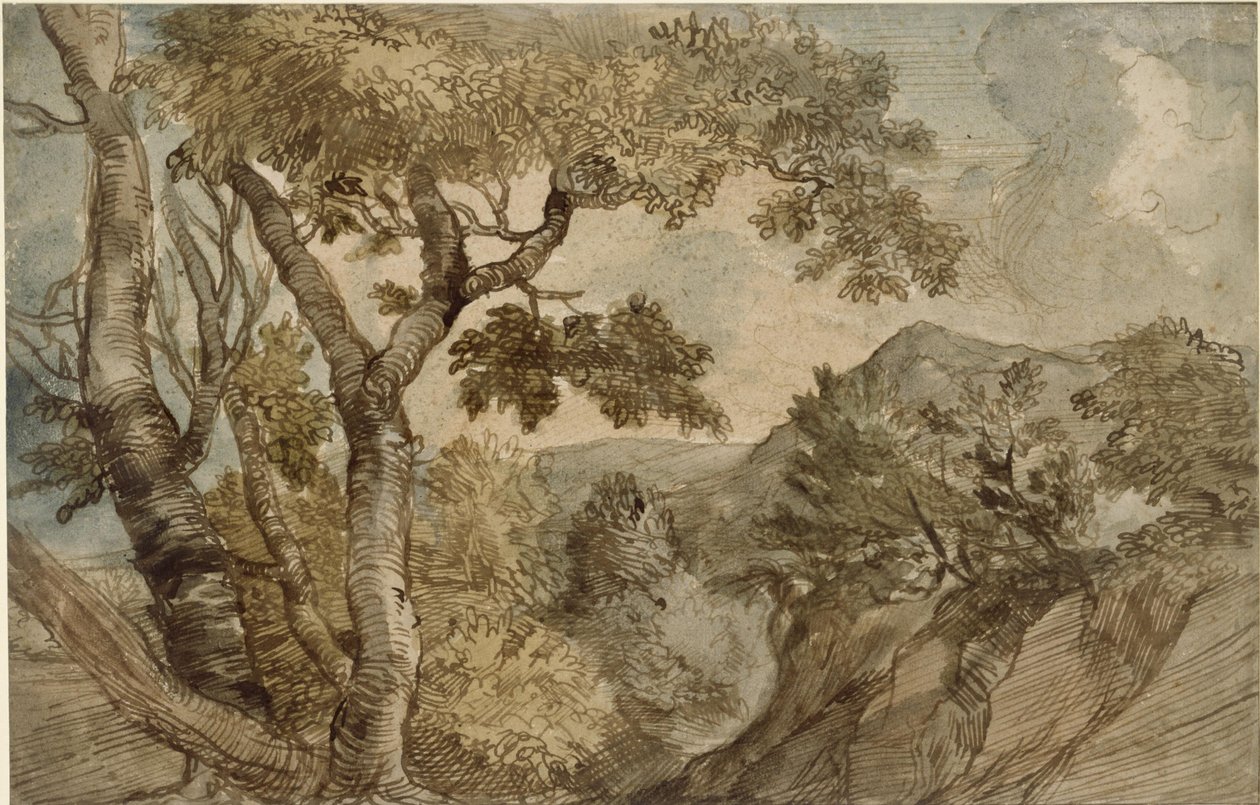 Mountainous Landscape with a Group of Trees by Jan Lievens