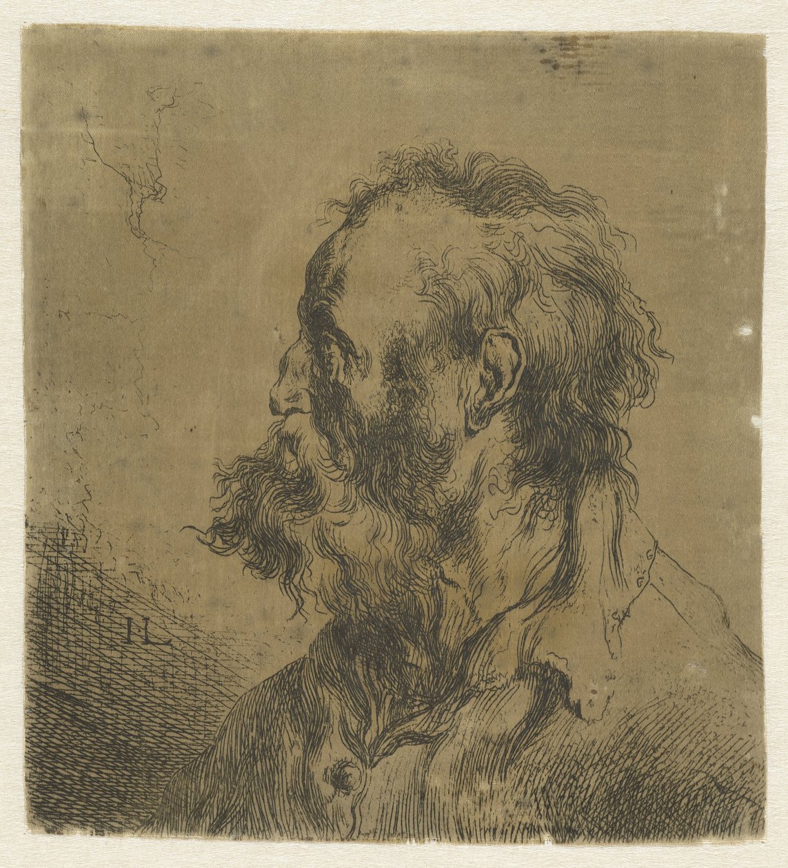 Bust of an Old Man with a Beard by Jan Lievens