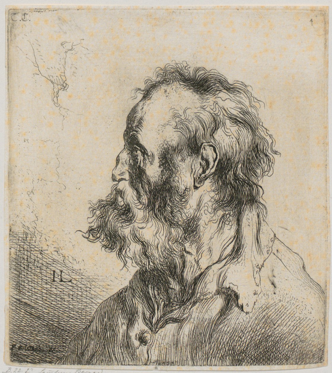 Bust of a Bearded Old Man by Jan Lievens