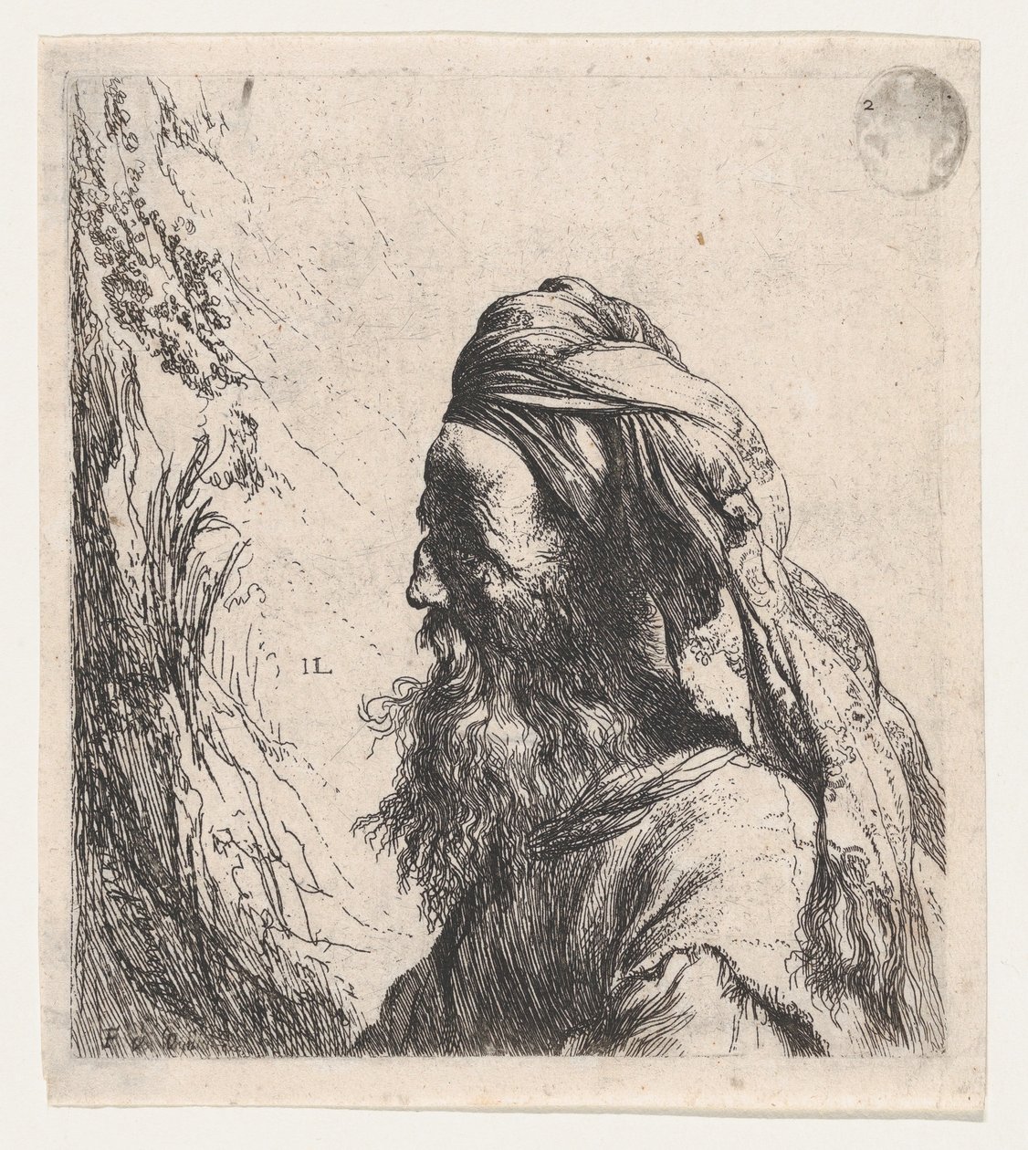 Man in a Turban Facing Left by Jan Lievens