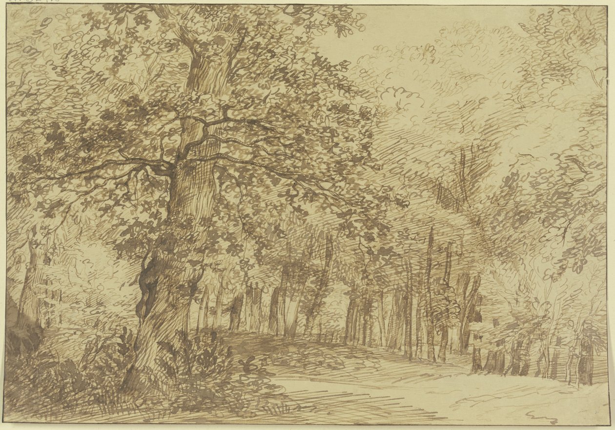 Forest Scene, Large Oak on the Left of the Path by Jan Lievens