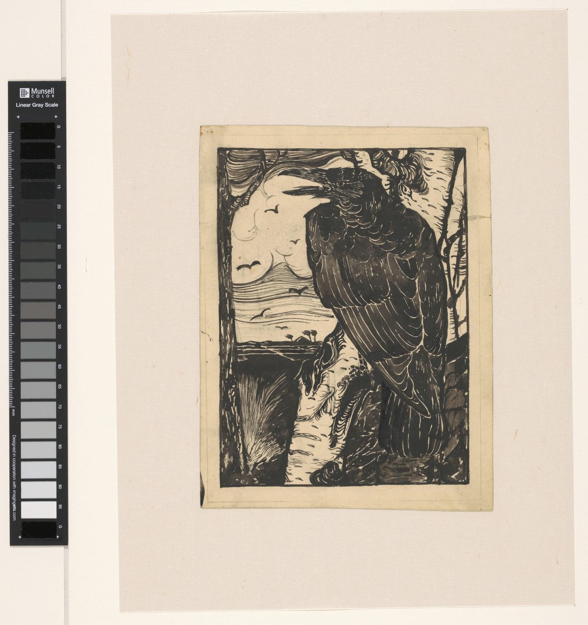 Raven on Birch Tree by Jan Mankes