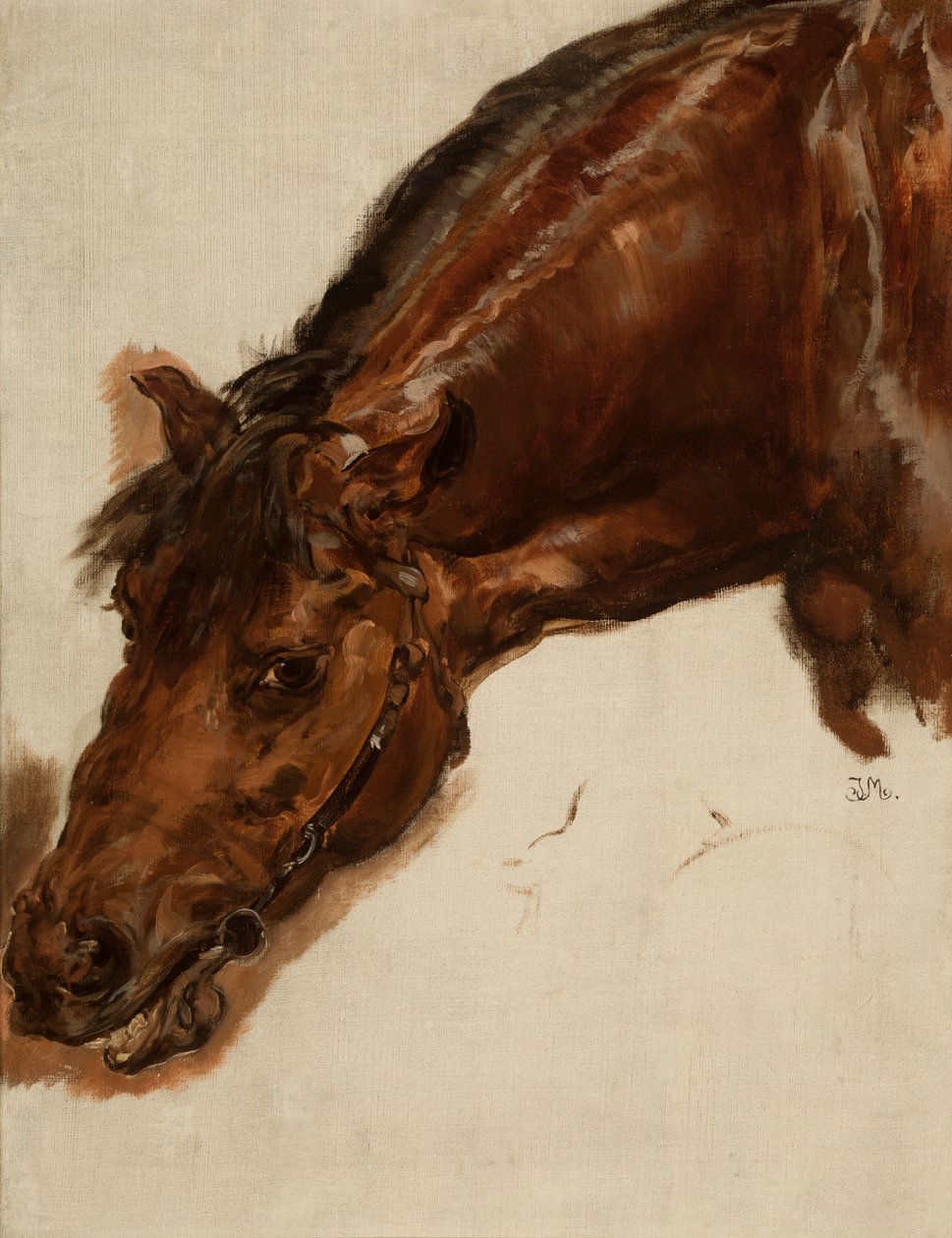 Study of a Horse